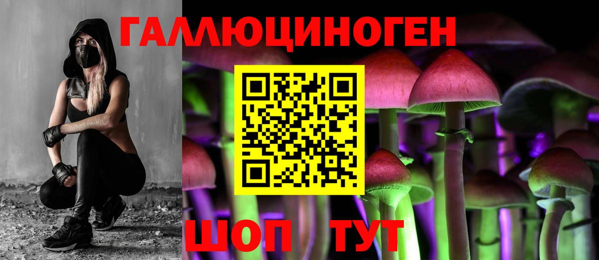 Бахчисарай  Псилоцибиновые грибы прущие грибы  Вход с VPN 